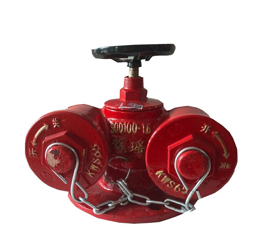 輝瑤 水(shuǐ)泵接合器(qì) 100